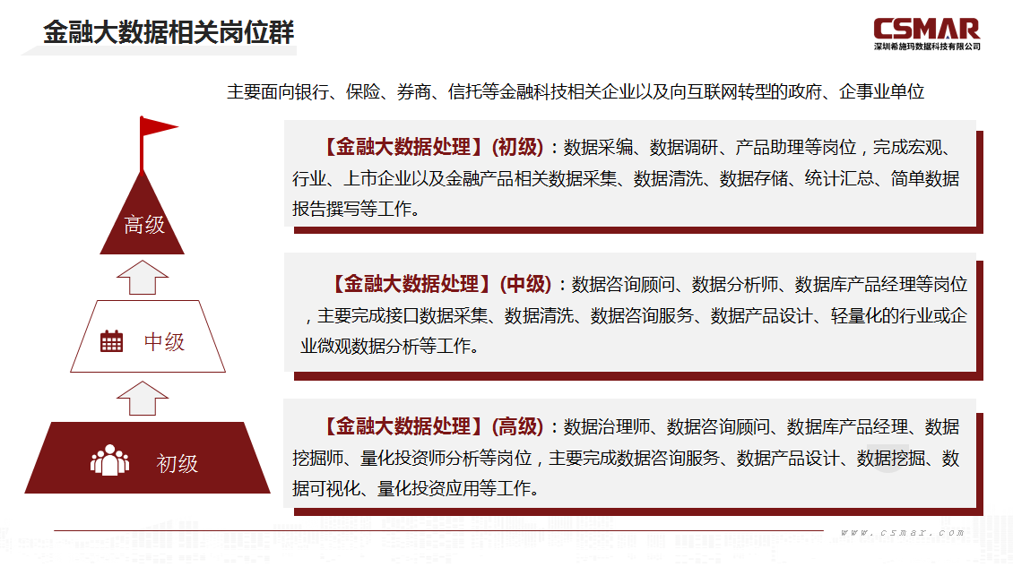  深圳希施玛数据科技有限公司