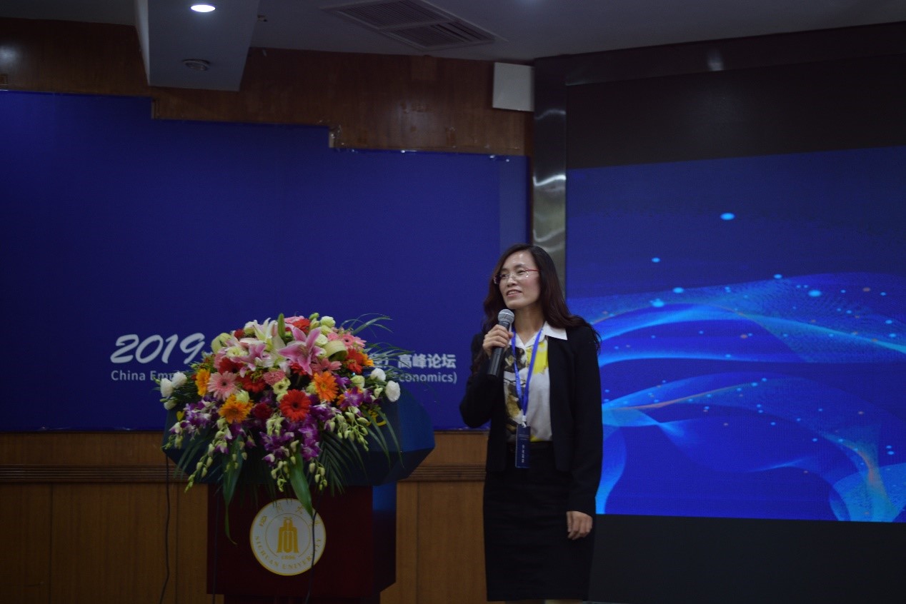  深圳希施玛数据科技有限公司